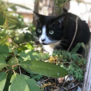 Meet your Posher, Gabriela